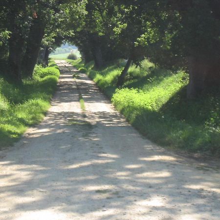 Domaine A Marmande Bed & Breakfast Berdoues Bagian luar foto