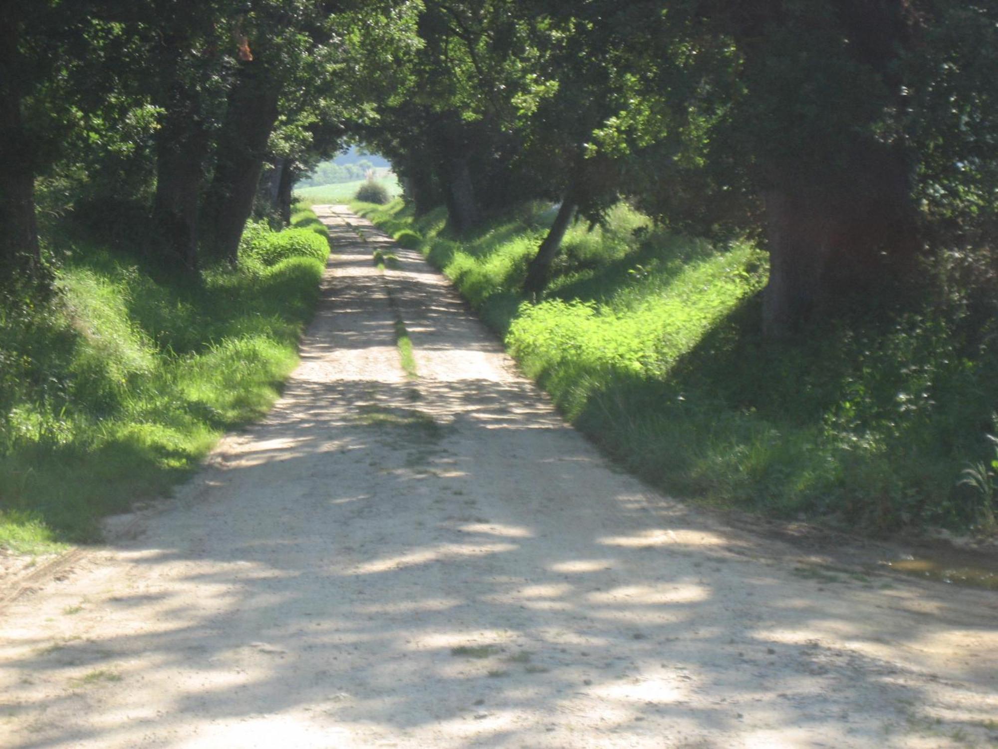Domaine A Marmande Bed & Breakfast Berdoues Bagian luar foto